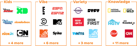 channel pack choices include kids, vibe, variety and knowledge